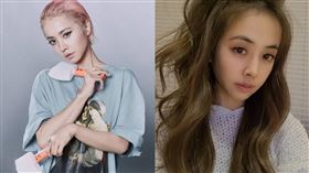 蔡依林。（圖／翻攝自蔡依林IG）