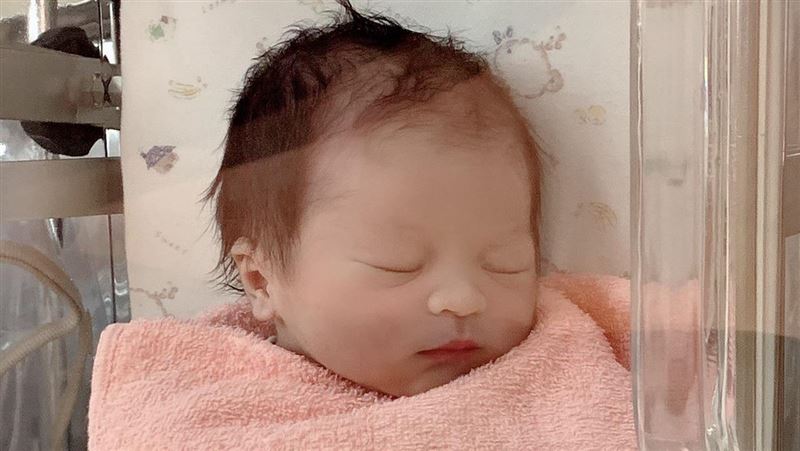 不孕夫妻生子契機　「借卵」成功率逾8成