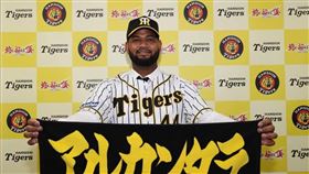 ▲Raul Alcantara有2年效力阪神虎。（資料照／取自阪神虎FB）