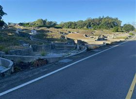 新社公墓，棄屍命案，39歲林男，養父，詐騙集團黑吃黑，養子，貨運司機(圖／翻攝畫面)