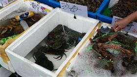 螃蟹,沙母,海鮮,現撈,海產,魚缸,熱炒店（圖／記者李鴻典攝影）