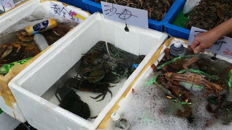 活魚貨缸內放油豆腐！專家揭1神奇功用