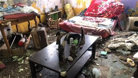 兔子,民宅,平鎮（圖／翻攝畫面）