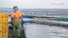 中禁台漁產18