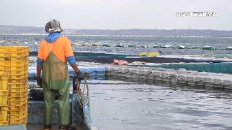 禁台灣漁產銷中國　3大漁產損失估47億元