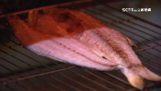 古人認證冠軍魚！午仔魚肉質細嫩、吃法多