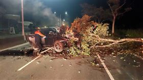 台南,南橫,路樹,百萬轎車,阻斷道路,險境,受困,急救