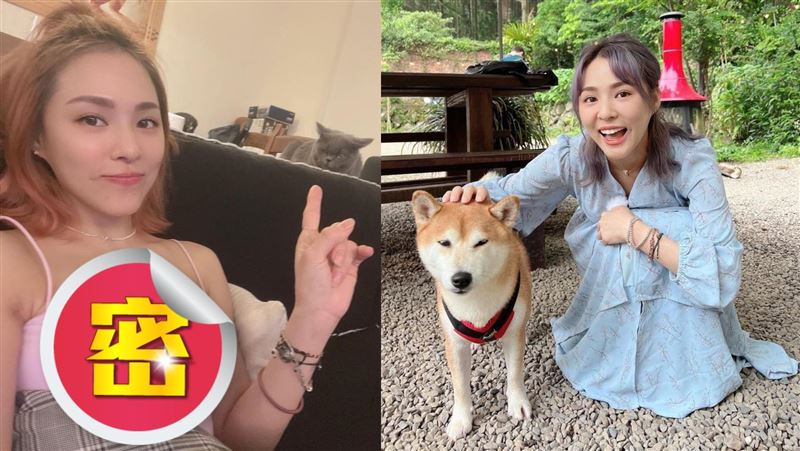 細肩帶扛不住！熊熊拍貓洩春光：貓在哪？