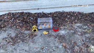 高山被放佛像、念佛機　民眾直呼：好毛