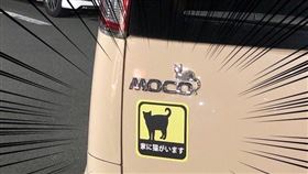 車尾貼「家有貓咪」神秘 推特