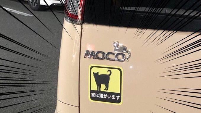 車貼「家有貓咪」要幹嘛？揭背後重大意義