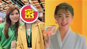 張雅琴（左）與崔麗心是北一女同班同學，兩人出席同學會開心同框。（圖／翻攝自張雅琴臉書）