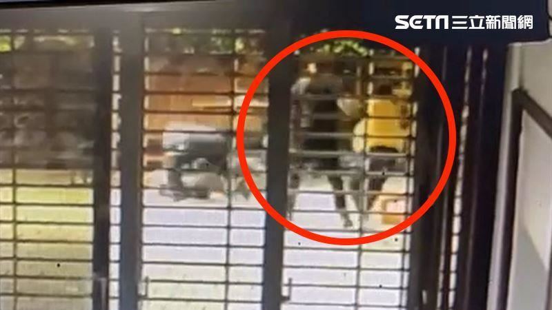 人瑞喜喪2子互毆　死者子：活活打死我爸