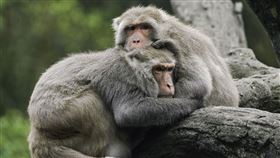 圖／動物園提供