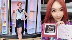 李宓才生產1年多宣布又懷孕，開心曬超音波再度得雙胞胎。（圖／翻攝自李宓臉書）