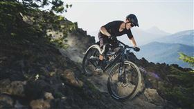 巨大發函協力廠商貨款票期展延45天。（圖／翻攝自巨大集團官網）