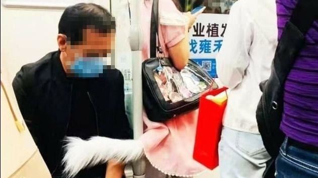 搭地鐵驚見短裙妹「有尾巴」　阿伯傻了