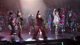 草蜢（圖／開麗娛樂提供）