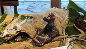 台東大學師生發表仿古料理  燻山羌國立台東大學師生訪談考古學者及考究出土文物，14日在卑南遺址公園餐廳發表仿古料理的9道菜。圖為長濱文化人的燻山羌。中央社記者盧太城台東攝  111年12月14日