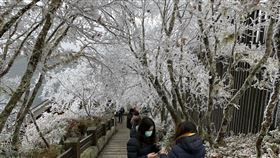 ▲宜蘭太平山降雪。（圖／遊客提供）
