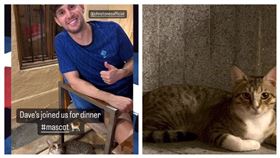  華克（左）與史東斯（右）在卡達領養一隻流浪貓。（圖／翻攝自johnstonesofficial IG）