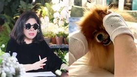  （圖／翻攝自陳文茜臉書）