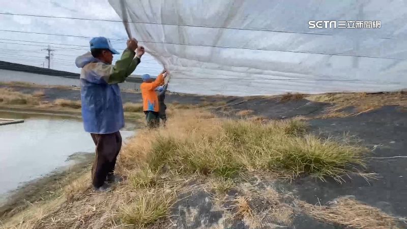 沿海魚塭包膜抗寒　提高溫度保暖護魚蝦