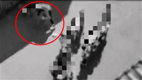 台南,幼兒園,教保員,施暴,拖行,踩腳,推,孩童,導正