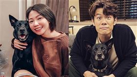 陳志強 曾智希的狗生日。（圖／翻攝自臉書）