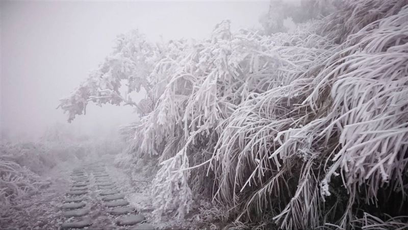 平地下探5度　氣象局揭最可能下雪時間點
