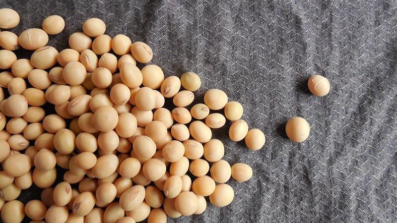 有圖！2歲童黃豆塞鼻孔　奇蹟發生了