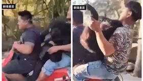 台灣黑熊,運屍,殺,三貼,屏東