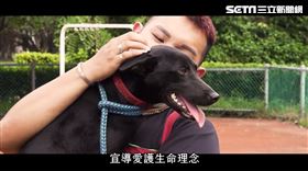 新北毛寶貝園區(業配勿用)