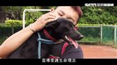 友善動物　板橋「毛寶貝生命教育園區」
