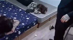 詐騙,新竹,機房,天燈（圖／翻攝畫面）