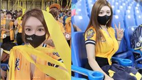 中信兄弟象,本壘奈,私密照