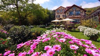 阿里山最美民宿曝光　四季星空頂樓看日出