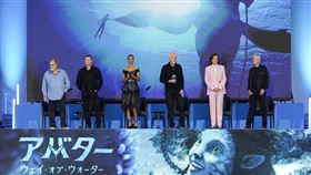 《阿凡達：水之道》日本看海豚秀。（圖／翻攝自阿凡達推特）