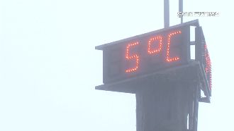 寒流來襲！太平山5度　遊客一早登山追雪