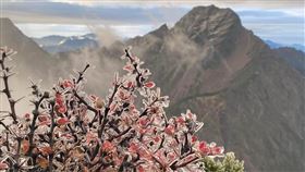 鄭明典一早在臉書貼出多張玉山北峰氣象站提供的照片，他說，玉山「凍」了！（圖／翻攝自鄭明典臉書）