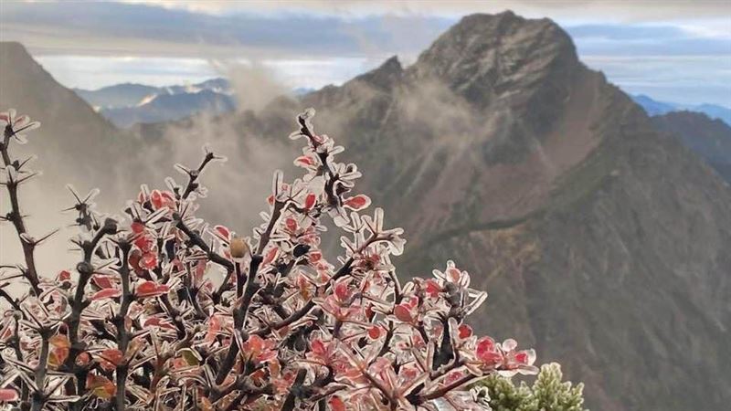 玉山「凍」了！鄭明典貼凍雨照：太美了！