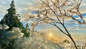 羅東林管處提供