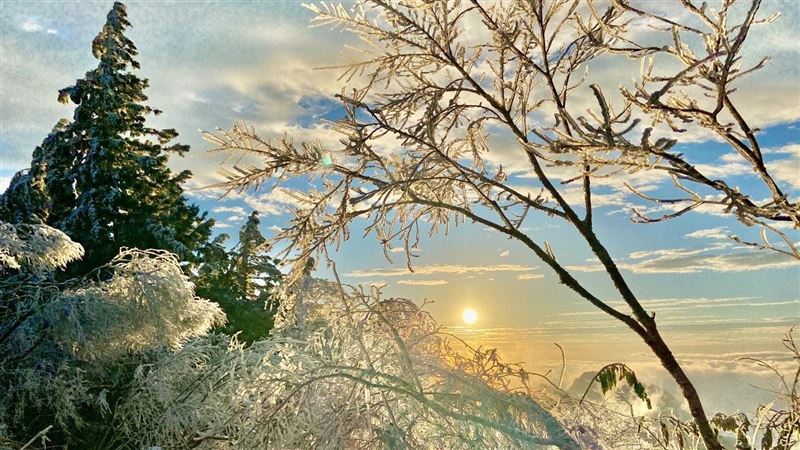 -4度！太平山「霧淞」美景宛如童話世界