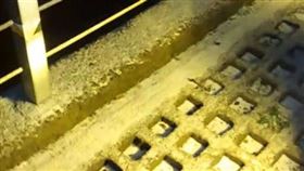 寒流發威，合歡山凌晨下雪了。（圖／翻攝自合歡山玩雪團臉書）