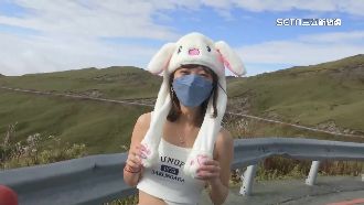 武嶺追雪衝一波！遊客穿小可愛、打赤膊