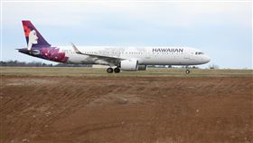 夏威夷航空（Hawaiian Airlines）▲（示意圖／翻攝自Pixabay）