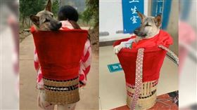 大陸湖南省一名羅姓女子日前為了生病的狗狗，決定和閨密步行5公里帶牠就醫。（圖／翻攝自微博／搜狐千里眼）