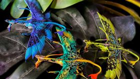 玩具廠牌麥法蘭McFarlane Toys同步推出帥氣的靈鳥模型，張開雙翼帶你遨遊天際。（圖／品牌業者提供）