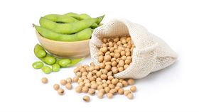 草根影響力新視野