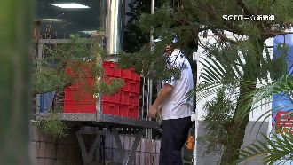 兒「午餐很臭像屎」　家長怒：新鮮做不到